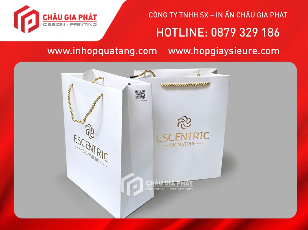 in túi giấy in túi giấy